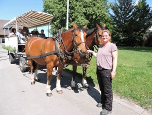 Corinne Schuhgovich mit dem Pferdewagen