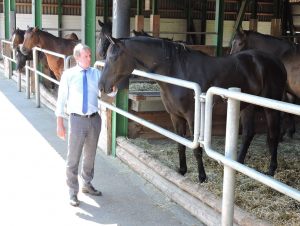 Direktor Schwarz bei den Fohlen