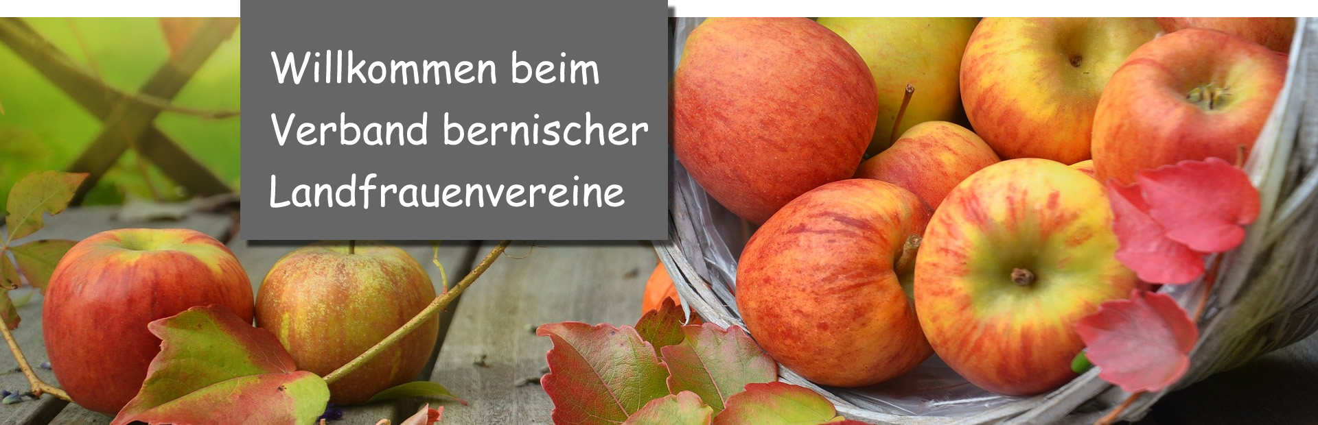 Apfelkorb_willkommen