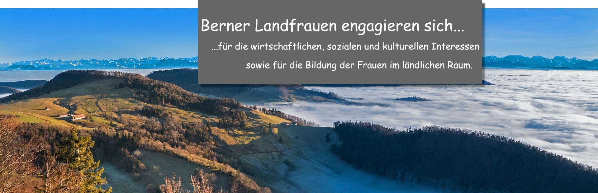 Nebelmeer_engagieren