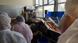 20190507 144628 klein