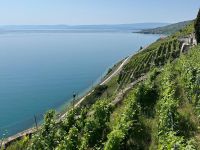 aktiver frauenverein orpund