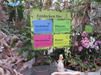 Wanderung Witzwanderweg P6260041 klein