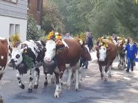 Wanderung Witzwanderweg P6260041 klein