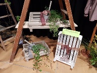 20190310 142140 klein