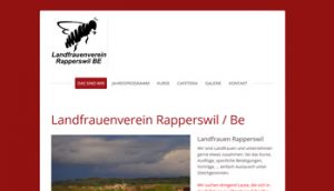 LFV Rapperswil/Be