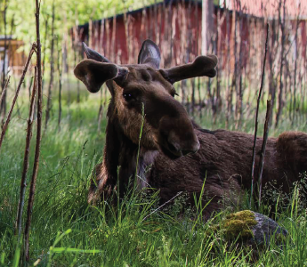 Bild Reise Friesland