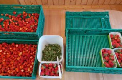 Tagebuch von Anina Trüssel