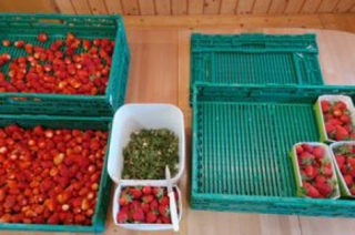 Tagebuch von Anina Trüssel