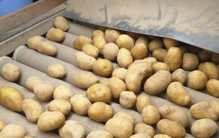 Tagebuch von Alessia Pousaz